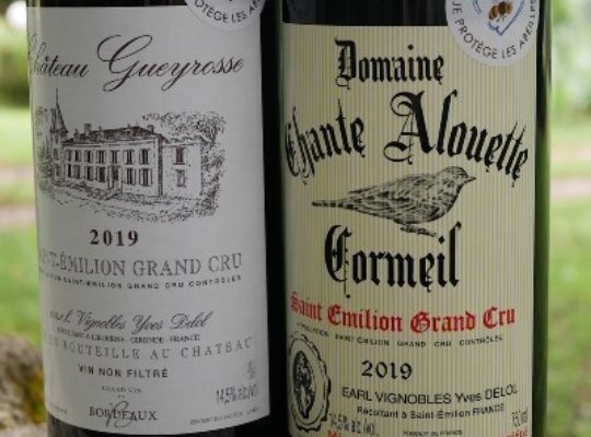 Saint Emilion Wine