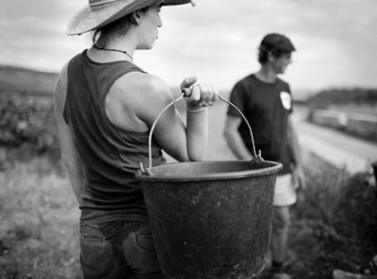 Female Viticulturist Lead at Castelbarry Cooperative