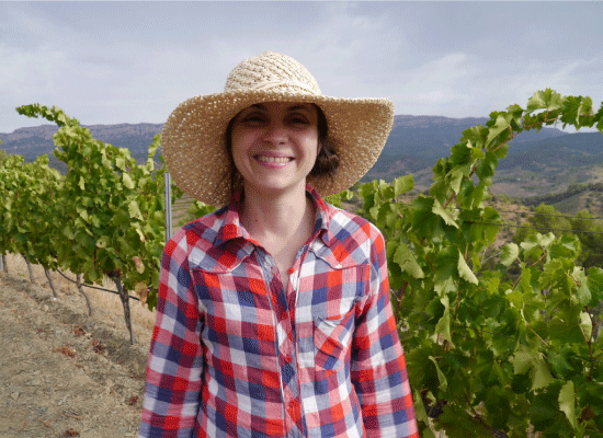Maja exploring a vineyard