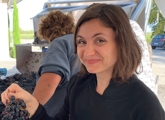 Maja attending the initial stages of winemaking