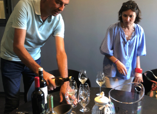 Maja Alves curating wines