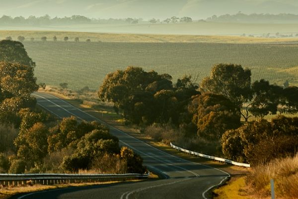 Dorrien Estate