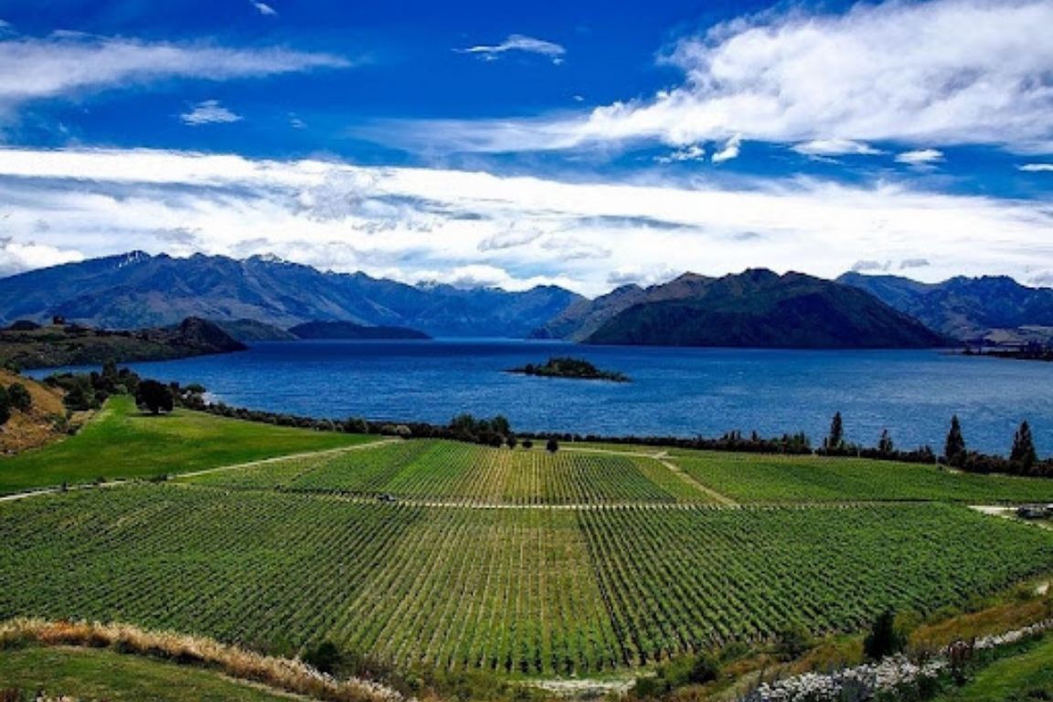 Photo for: The Hidden Gems: Underrated French Wine Regions and Their Wines 