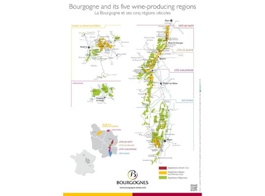 Bourgogne and its 5 wine regions