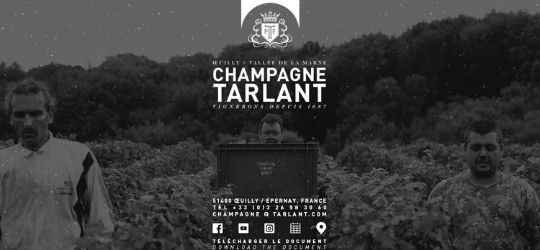 Champagne Tarlant