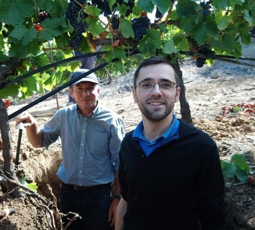 Nicolas Fouilleroux in a vineyard