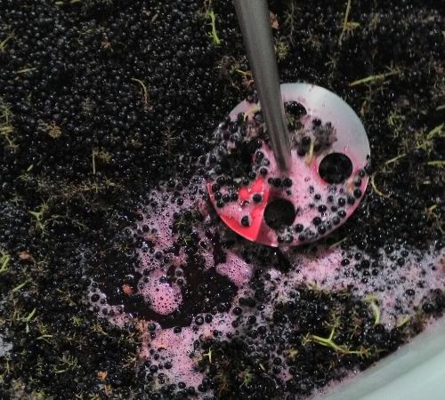 Grape crushing for wine