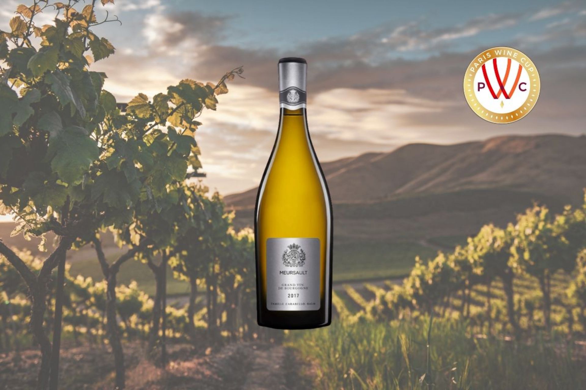 Le meilleur Chardonnay à boire en France est Meursault 2017